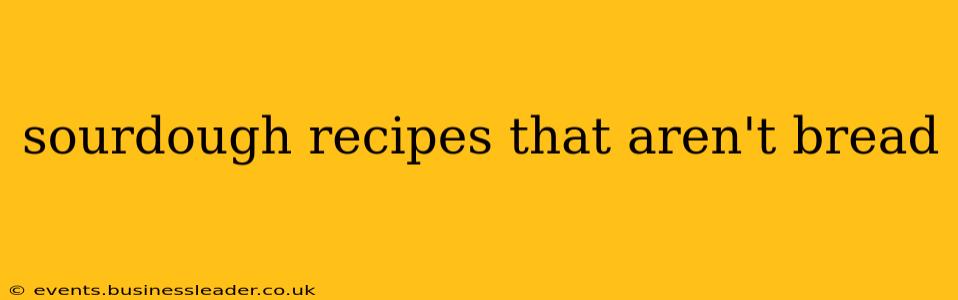 sourdough recipes that aren't bread