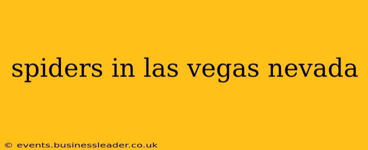 spiders in las vegas nevada