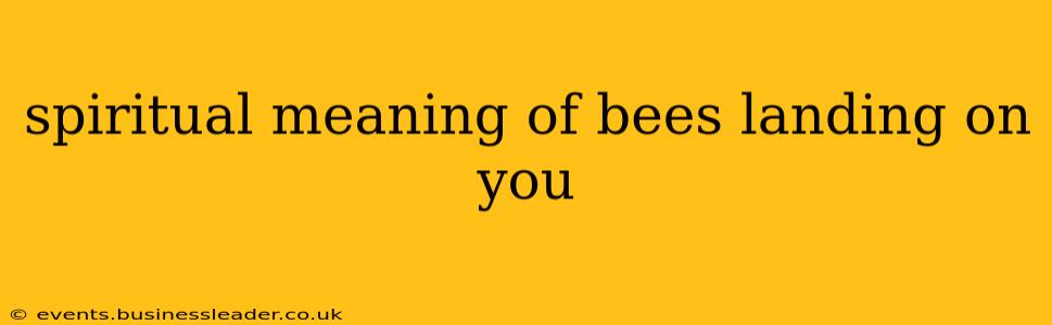 spiritual meaning of bees landing on you