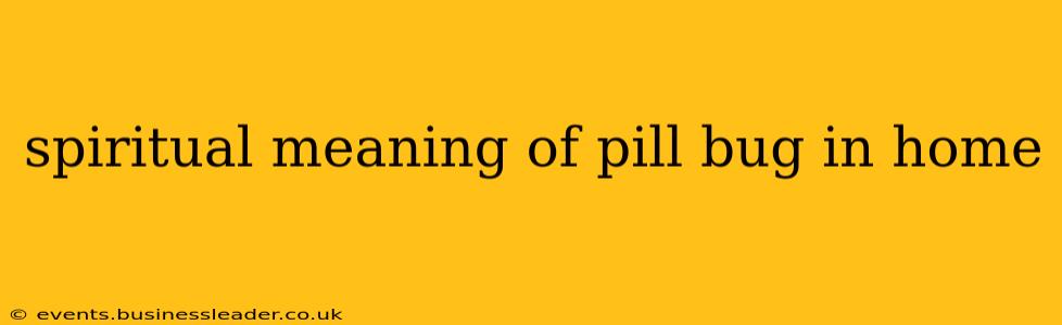 spiritual meaning of pill bug in home