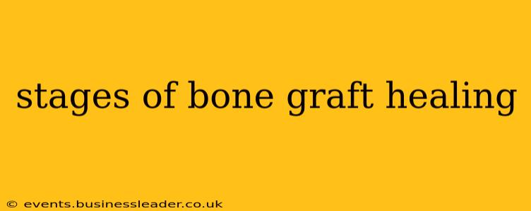 stages of bone graft healing