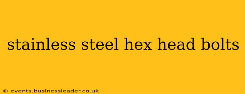 stainless steel hex head bolts