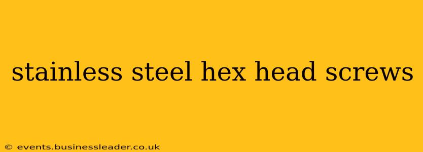 stainless steel hex head screws