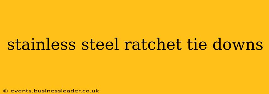 stainless steel ratchet tie downs