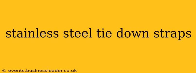 stainless steel tie down straps