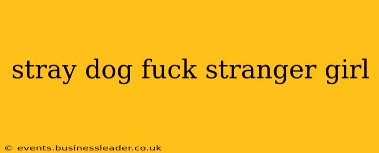 stray dog fuck stranger girl