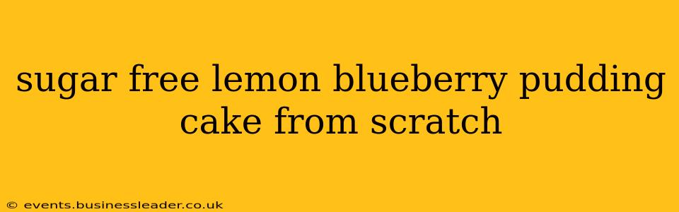 sugar free lemon blueberry pudding cake from scratch