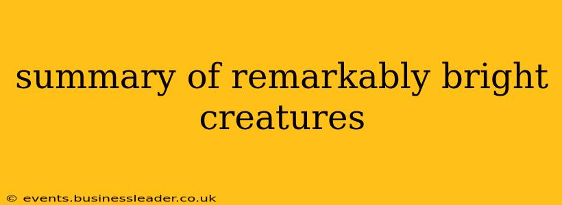 summary of remarkably bright creatures