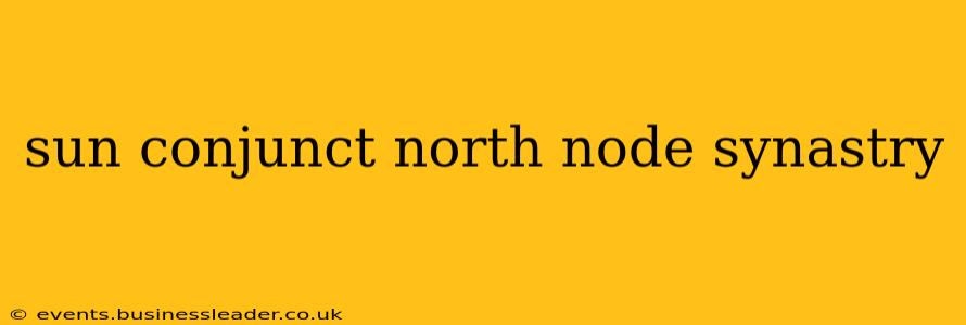 sun conjunct north node synastry