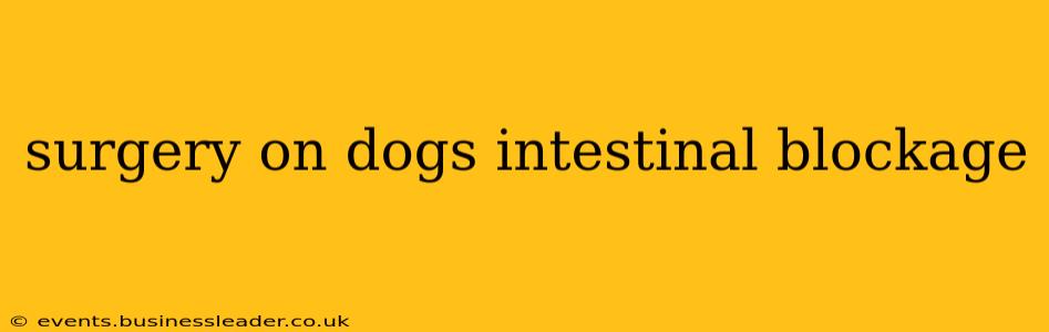 surgery on dogs intestinal blockage