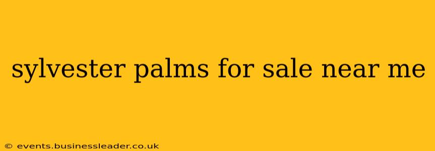 sylvester palms for sale near me