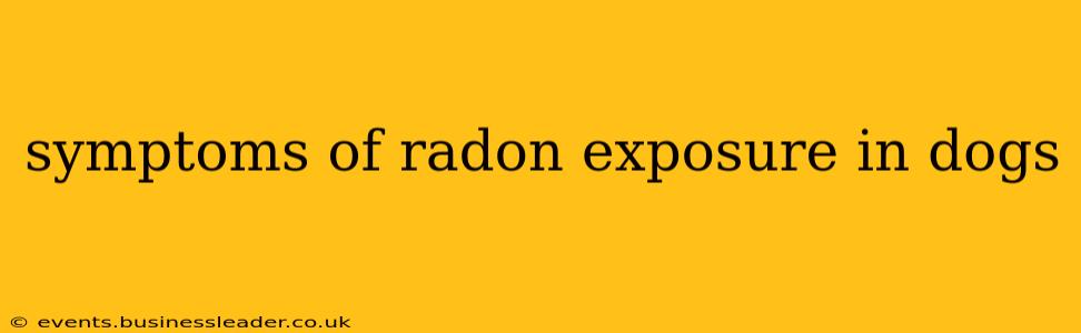 symptoms of radon exposure in dogs