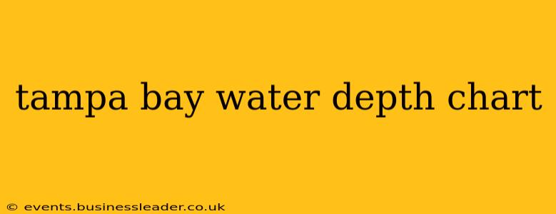 tampa bay water depth chart