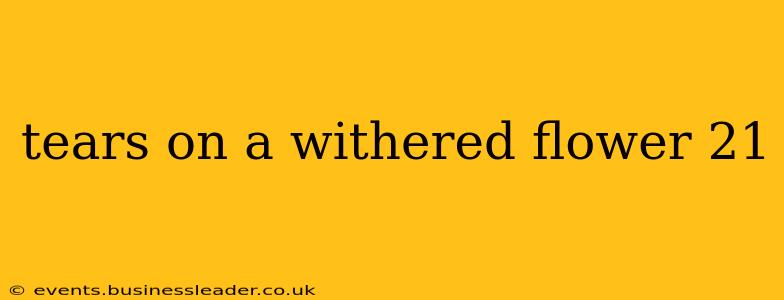 tears on a withered flower 21