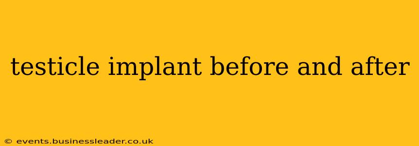 testicle implant before and after