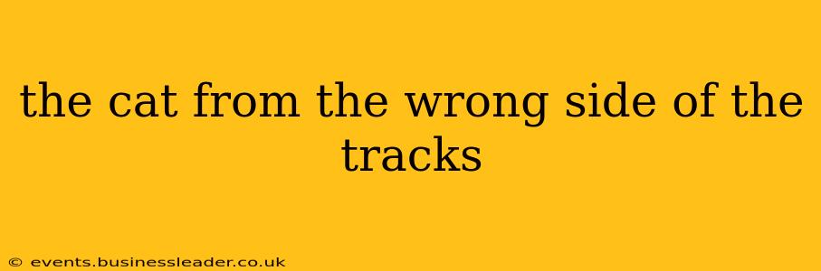 the cat from the wrong side of the tracks