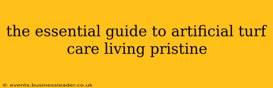 the essential guide to artificial turf care living pristine