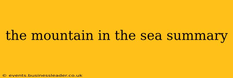 the mountain in the sea summary