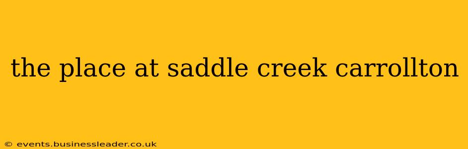 the place at saddle creek carrollton