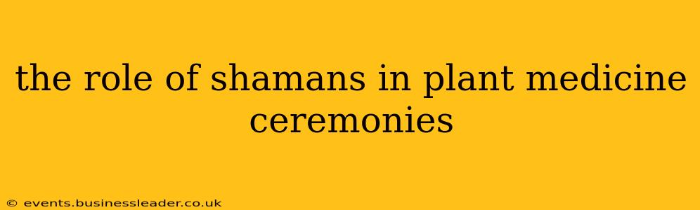 the role of shamans in plant medicine ceremonies