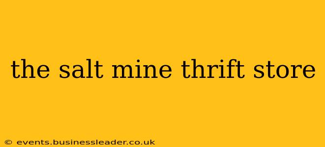 the salt mine thrift store