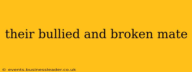their bullied and broken mate