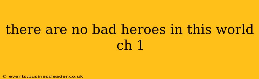 there are no bad heroes in this world ch 1