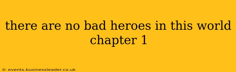 there are no bad heroes in this world chapter 1