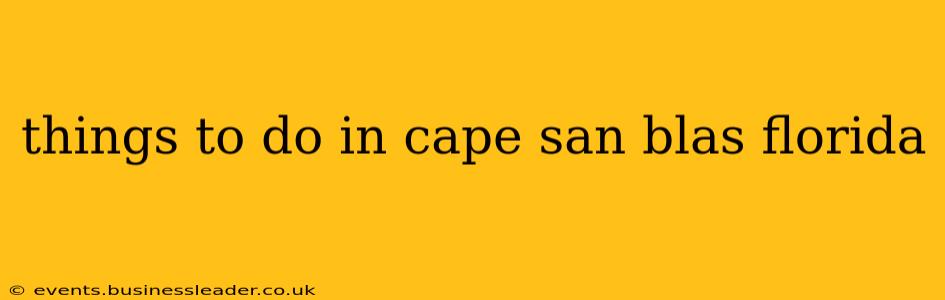 things to do in cape san blas florida
