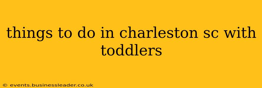 things to do in charleston sc with toddlers