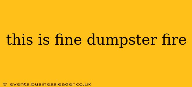 this is fine dumpster fire this is fine dumpster fire