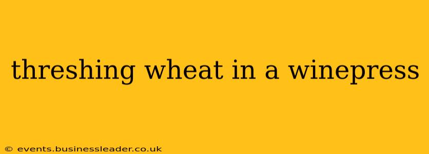 threshing wheat in a winepress