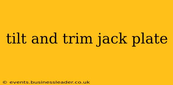 tilt and trim jack plate