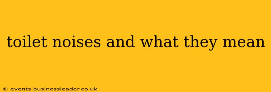 toilet noises and what they mean