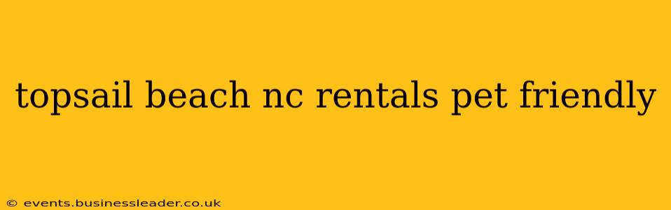 topsail beach nc rentals pet friendly