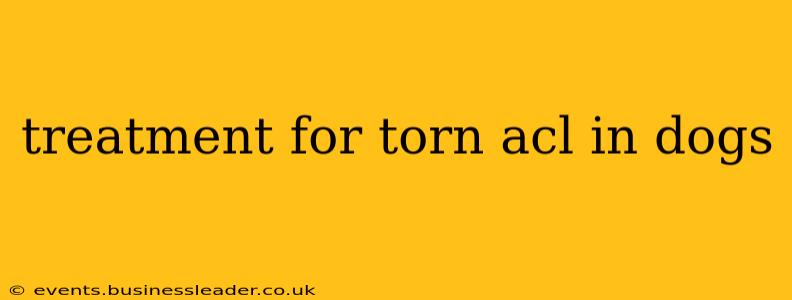 treatment for torn acl in dogs