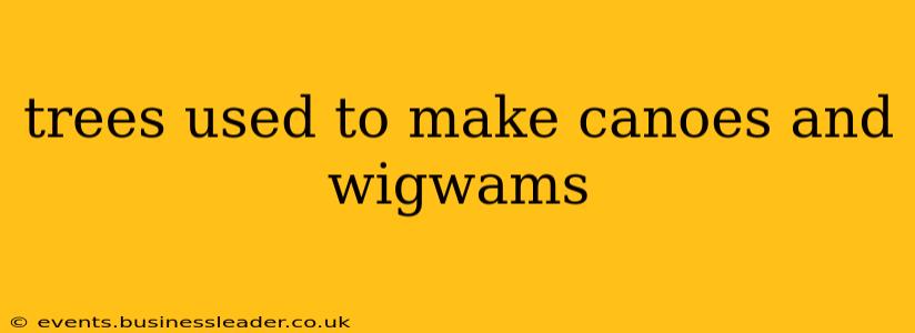 trees used to make canoes and wigwams