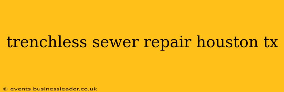 trenchless sewer repair houston tx