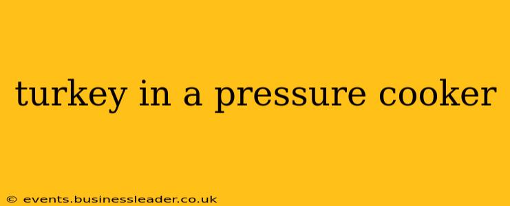 turkey in a pressure cooker