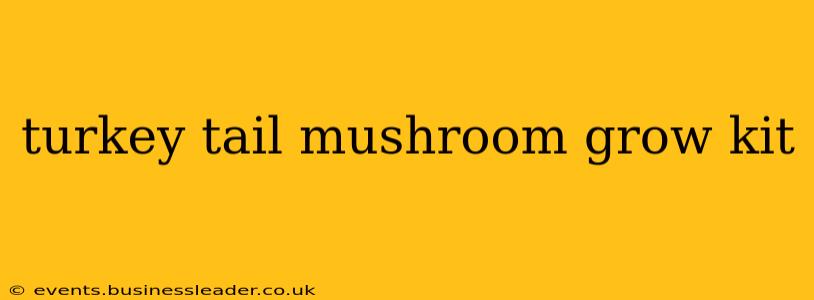turkey tail mushroom grow kit