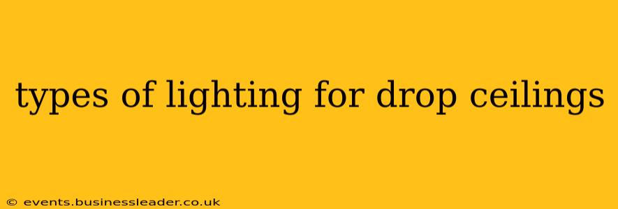 types of lighting for drop ceilings