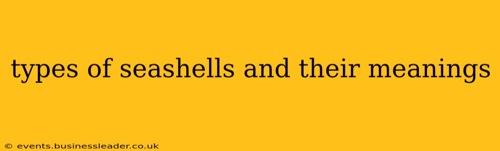 types of seashells and their meanings