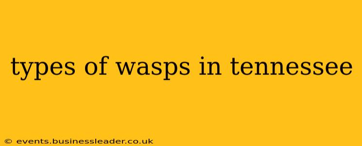 types of wasps in tennessee