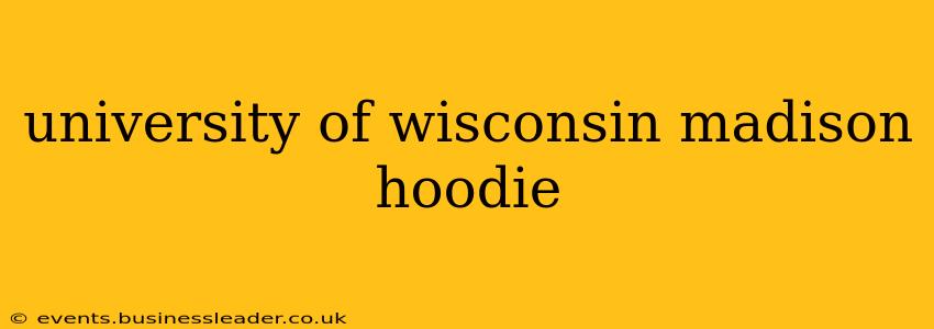 university of wisconsin madison hoodie