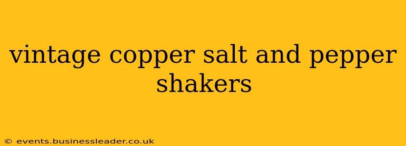 vintage copper salt and pepper shakers