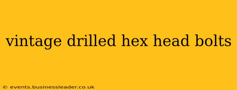 vintage drilled hex head bolts