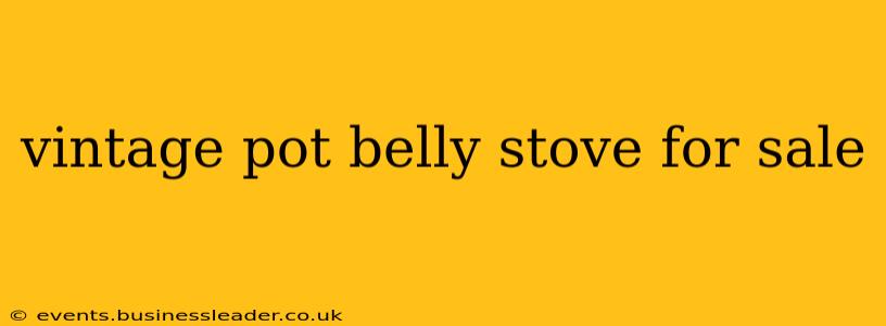 vintage pot belly stove for sale