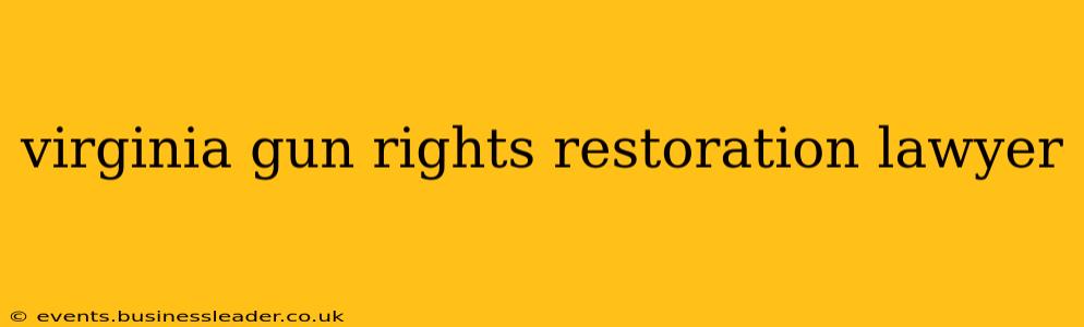 virginia gun rights restoration lawyer