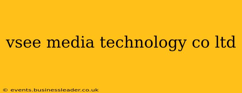 vsee media technology co ltd