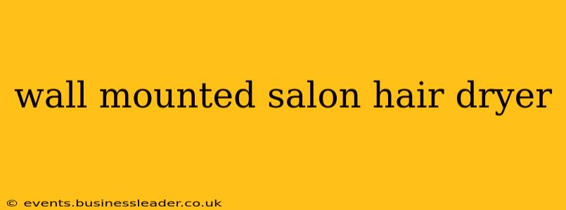 wall mounted salon hair dryer